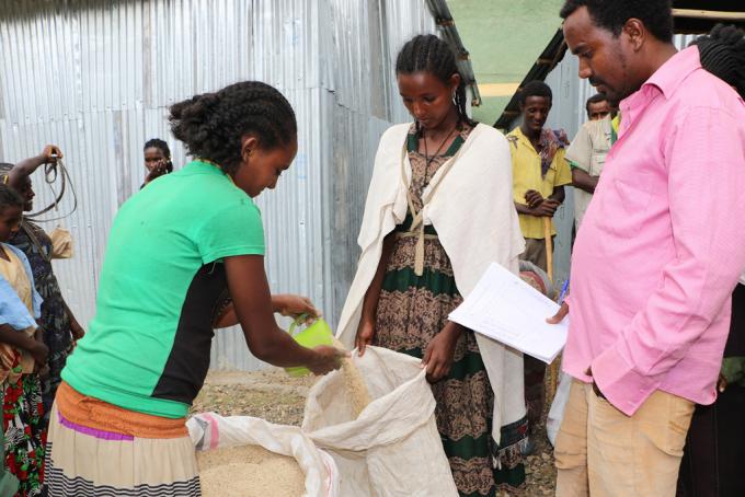 Abebech Desu, 20, receiving 3 kgs of sesame seed from Save the Children’s Seed distribution program ,for the Meher season planting, Abebech is one of the habitants of Netsanet Melkam Kebele of Zequala Woreda where save the children has distributed seed in July 2016.