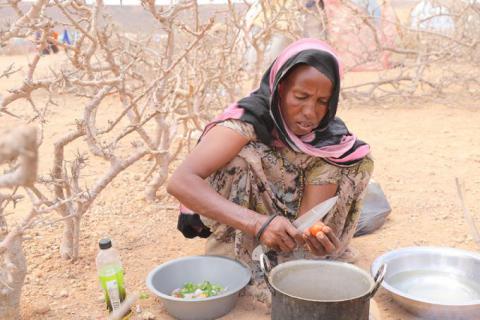 Kaltun, preparing ingredients to make rice with vegetables for lunch for family at the outdoor kitchen in her temporary shelter at the IDP camp